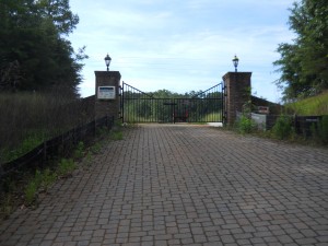 DSCN0536