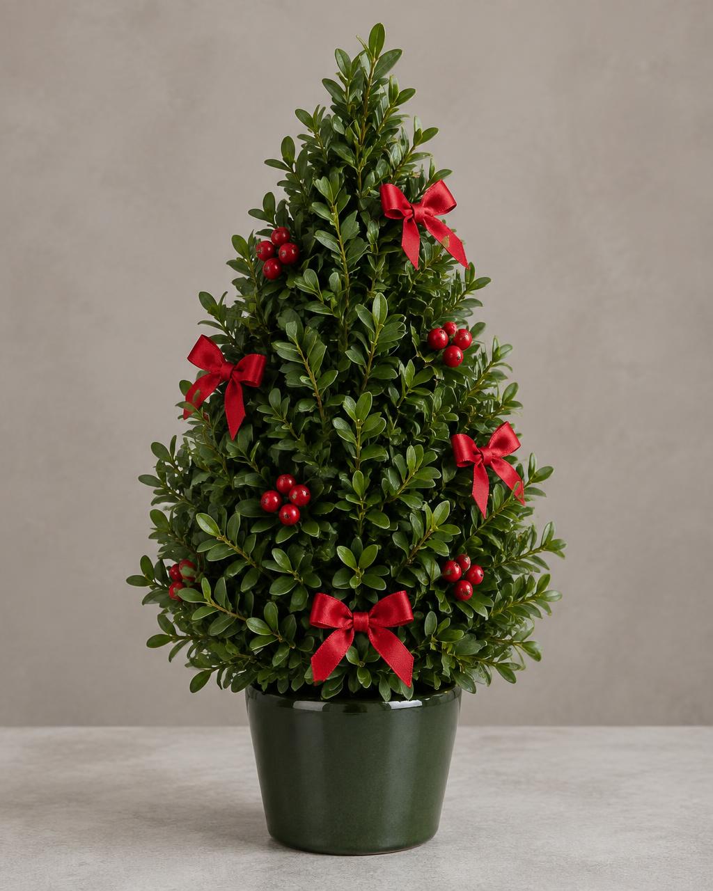 Christmas Boxwood Tree — hand-arranged christmas flowers for delivery in Dalton, GA