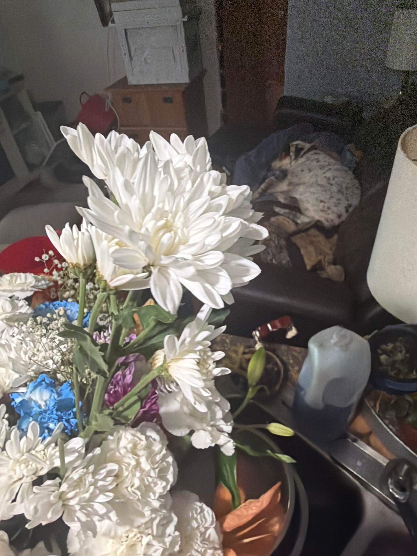 White Cushion Daisies — $2 a Stem