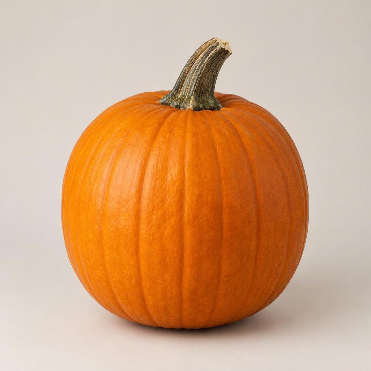 Fresh Pumpkin — hand-arranged fall flowers for delivery in Dalton, GA